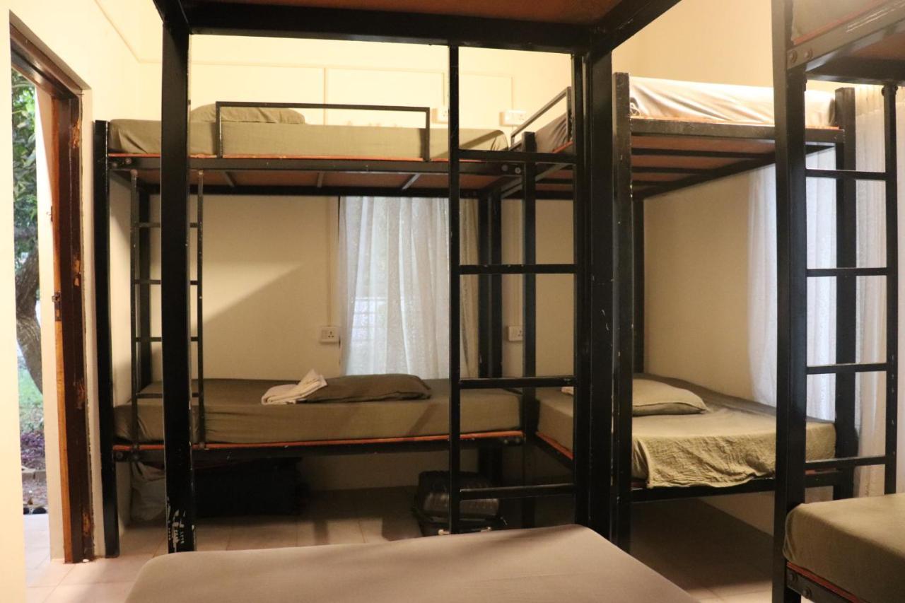 Piggy Hostel ורקלה מראה חיצוני תמונה